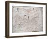 A Portolan Chart of Europe, circa 1500-null-Framed Giclee Print