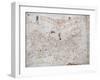 A Portolan Chart of Europe, circa 1500-null-Framed Giclee Print