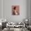 A Portrait in Profile: Mary L-Harold Gilman-Giclee Print displayed on a wall