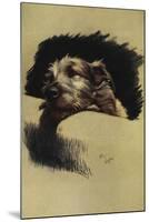 A Portrait Of a Dog-null-Mounted Giclee Print
