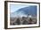 A Portrait of a Large Llama in Sajama National Park, at Sunrise-Alex Saberi-Framed Photographic Print