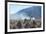 A Portrait of a Large Llama in Sajama National Park, at Sunrise-Alex Saberi-Framed Photographic Print