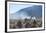 A Portrait of a Large Llama in Sajama National Park, at Sunrise-Alex Saberi-Framed Photographic Print