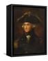 A Portrait of Horatio, Lord Nelson (1758-1805)-Lemuel Francis Abbott (Follower of)-Framed Stretched Canvas