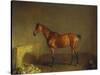 A Portrait of 'Marshall' a Bay Racehorse, in a Stall-Edward Troye-Stretched Canvas