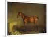 A Portrait of 'Marshall' a Bay Racehorse, in a Stall-Edward Troye-Framed Premium Giclee Print