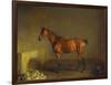 A Portrait of 'Marshall' a Bay Racehorse, in a Stall-Edward Troye-Framed Premium Giclee Print