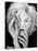 A Portrait of Monica Vitti-null-Stretched Canvas