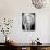 A Portrait of Monica Vitti-null-Photographic Print displayed on a wall