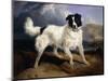 A Portrait of Neptune-Edwin Henry Landseer-Mounted Giclee Print