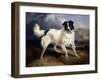 A Portrait of Neptune-Edwin Henry Landseer-Framed Giclee Print