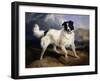 A Portrait of Neptune-Edwin Henry Landseer-Framed Giclee Print