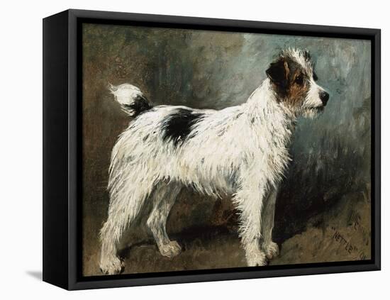 A Portrait of Nettle, a Terrier-John Emms-Framed Stretched Canvas