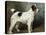 A Portrait of Nettle, a Terrier-John Emms-Stretched Canvas
