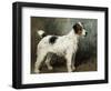 A Portrait of Nettle, a Terrier-John Emms-Framed Giclee Print