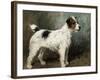 A Portrait of Nettle, a Terrier-John Emms-Framed Giclee Print