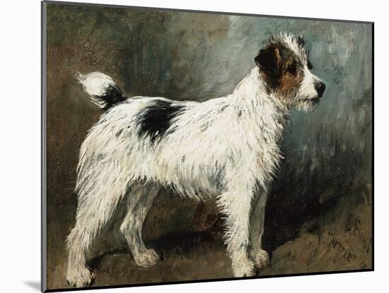 A Portrait of Nettle, a Terrier-John Emms-Mounted Giclee Print