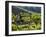 A Portuguese Woman Picks Grapes During the September Wine Harvest in Douro Valley, Portugal-Camilla Watson-Framed Premium Photographic Print