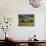 A Portuguese Woman Picks Grapes During the September Wine Harvest in Douro Valley, Portugal-Camilla Watson-Photographic Print displayed on a wall