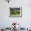 A Portuguese Woman Picks Grapes During the September Wine Harvest in Douro Valley, Portugal-Camilla Watson-Framed Photographic Print displayed on a wall