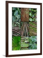 A poster featuring plants found in the Jungles of the Peruvian Rainforest-Mallorie Ostrowitz-Framed Premium Photographic Print