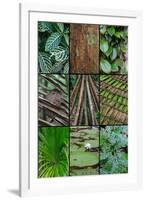 A poster featuring plants found in the Jungles of the Peruvian Rainforest-Mallorie Ostrowitz-Framed Premium Photographic Print
