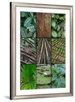 A poster featuring plants found in the Jungles of the Peruvian Rainforest-Mallorie Ostrowitz-Framed Premium Photographic Print