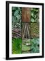 A poster featuring plants found in the Jungles of the Peruvian Rainforest-Mallorie Ostrowitz-Framed Photographic Print