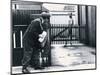 A Postman Hides Behind a Wall, Scared of a Great Dane Dog Leaning on the Fence of the House-null-Mounted Photographic Print