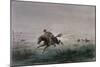 A Postman of the American Pony Express Being Attacked by Native Americans-null-Mounted Giclee Print