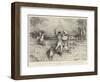 A Poultry Yard Prowler Dug Out from His Lair and Bagged after a Hard Chase-Robert Walker Macbeth-Framed Giclee Print