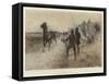 A Pound a Leg-Leghe Suthers-Framed Stretched Canvas