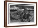 Brown Frame