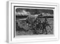 White Frame