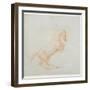 A Prancing Horse, Facing Right, 1790 (Red Chalk on Paper)-George Stubbs-Framed Giclee Print