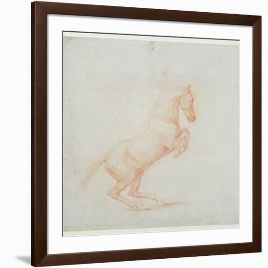 A Prancing Horse, Facing Right, 1790 (Red Chalk on Paper)-George Stubbs-Framed Giclee Print