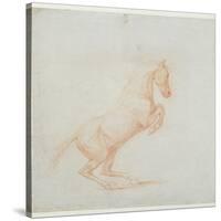 A Prancing Horse, Facing Right, 1790 (Red Chalk on Paper)-George Stubbs-Stretched Canvas