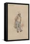 A Presidential, c.1920s-Joseph Clayton Clarke-Framed Stretched Canvas