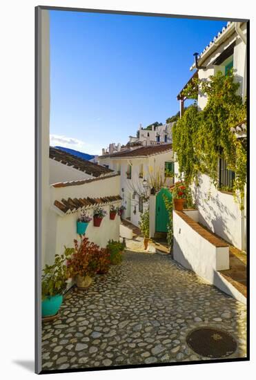 A pretty street in 17th century Acebuchal in the Sierras of Tejeda, Andlaucia, Spain, sits on a...-Panoramic Images-Mounted Photographic Print