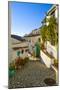 A pretty street in 17th century Acebuchal in the Sierras of Tejeda, Andlaucia, Spain, sits on a...-Panoramic Images-Mounted Photographic Print