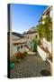 A pretty street in 17th century Acebuchal in the Sierras of Tejeda, Andlaucia, Spain, sits on a...-Panoramic Images-Stretched Canvas