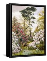 A Pretty Woodland Garden-Marian Emma Chase-Framed Stretched Canvas