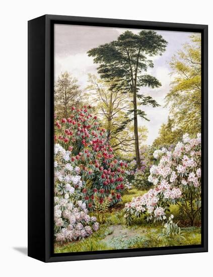 A Pretty Woodland Garden-Marian Emma Chase-Framed Stretched Canvas