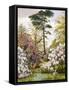 A Pretty Woodland Garden-Marian Emma Chase-Framed Stretched Canvas