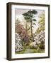 A Pretty Woodland Garden-Marian Emma Chase-Framed Giclee Print