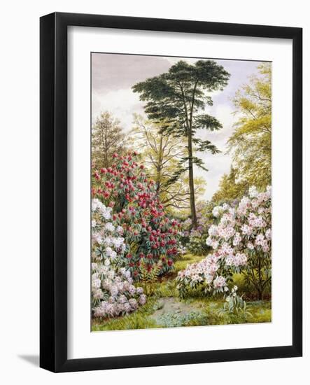 A Pretty Woodland Garden-Marian Emma Chase-Framed Giclee Print