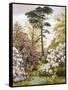 A Pretty Woodland Garden-Marian Emma Chase-Framed Stretched Canvas