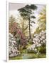 A Pretty Woodland Garden-Marian Emma Chase-Framed Giclee Print