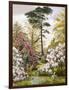 A Pretty Woodland Garden-Marian Emma Chase-Framed Giclee Print