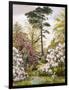 A Pretty Woodland Garden-Marian Emma Chase-Framed Giclee Print